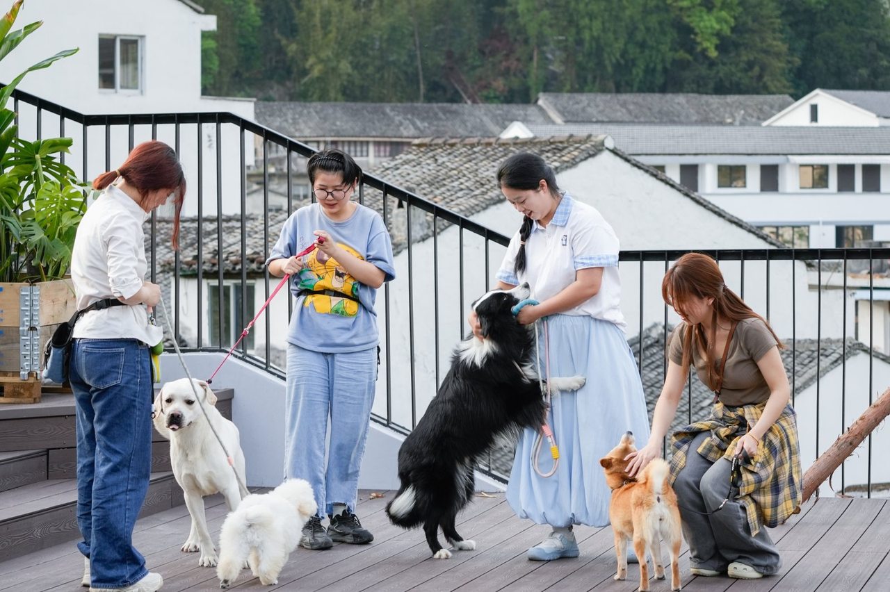 高校“宠物”专业是什么新物种？(图4)