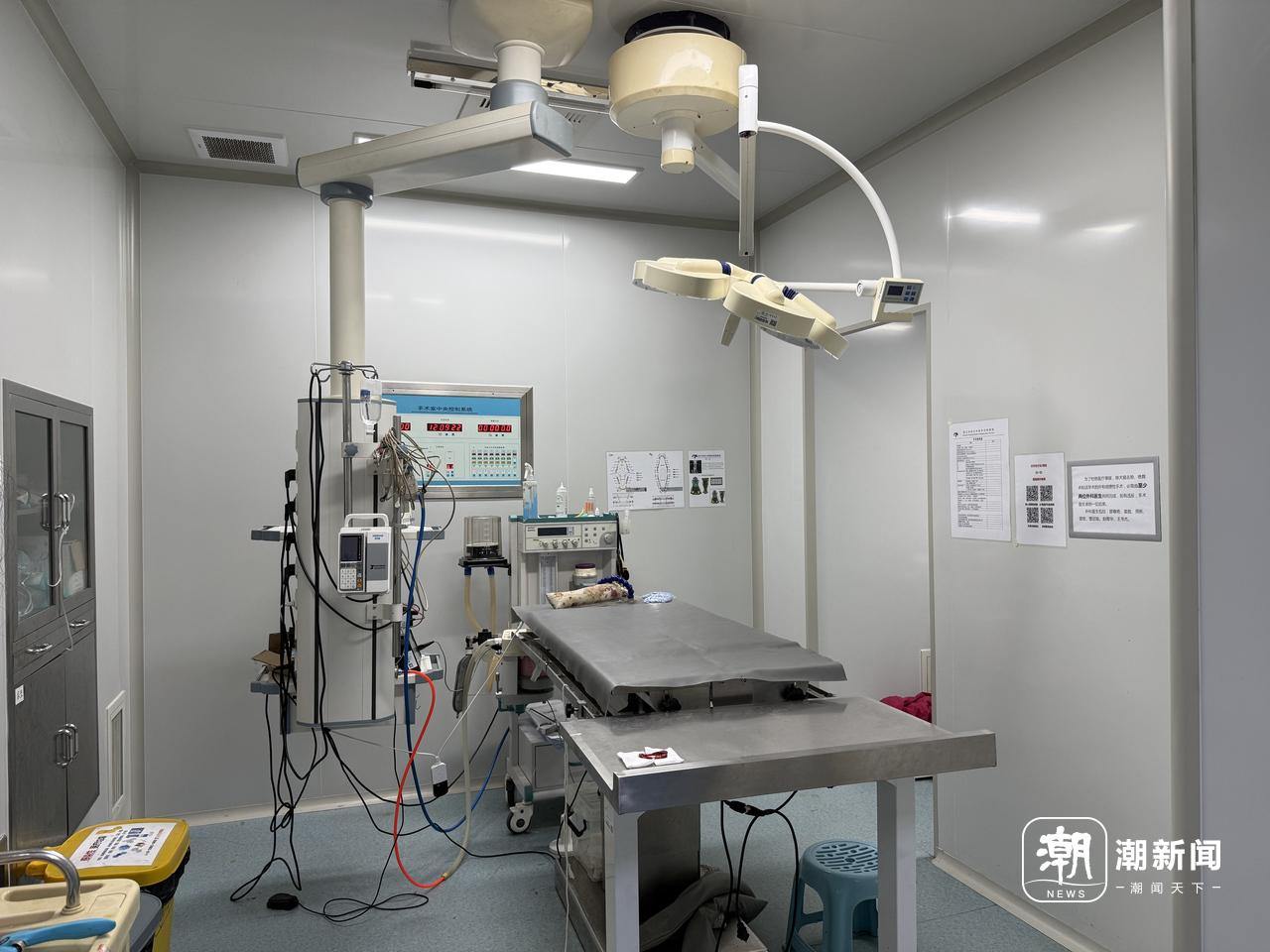 高校“宠物”专业是什么新物种？(图3)