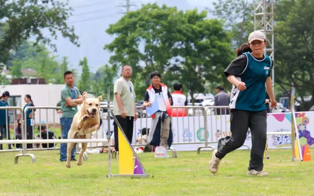 高校“宠物”专业是什么新物种？(图5)