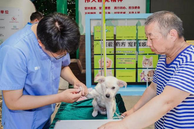 爱宠有道健康同行！社区营造人宠和谐新风尚(图2)