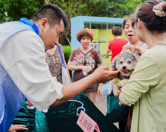 爱宠有道健康同行！社区营造人宠和谐新风尚(图4)