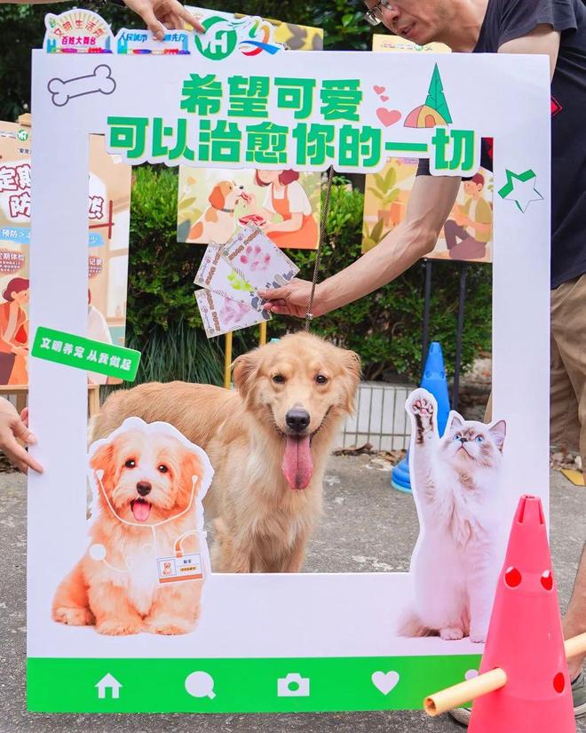 爱宠有道健康同行！社区营造人宠和谐新风尚(图5)