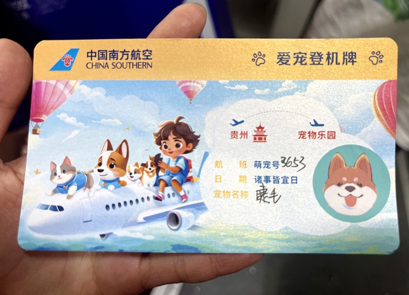 “携宠出行”新场景 贵州首只享“爱宠进客舱”服务宠物顺利出行(图2)