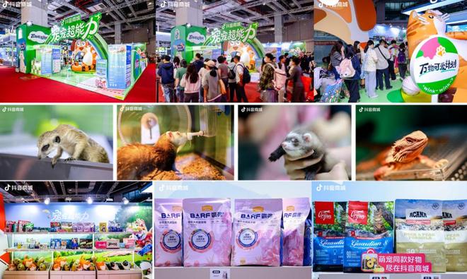 抖音「宠友联萌季」X「万物可爱计划50」将毛孩子“宠上天”(图3)