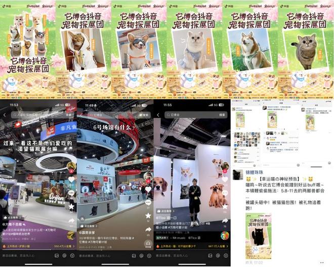 抖音「宠友联萌季」X「万物可爱计划50」将毛孩子“宠上天”(图2)