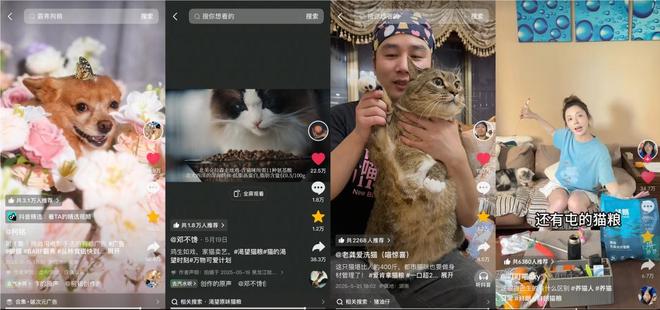 抖音「宠友联萌季」X「万物可爱计划50」将毛孩子“宠上天”(图7)