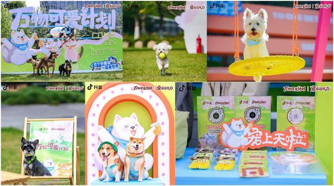 抖音「宠友联萌季」X「万物可爱计划50」将毛孩子“宠上天”(图4)