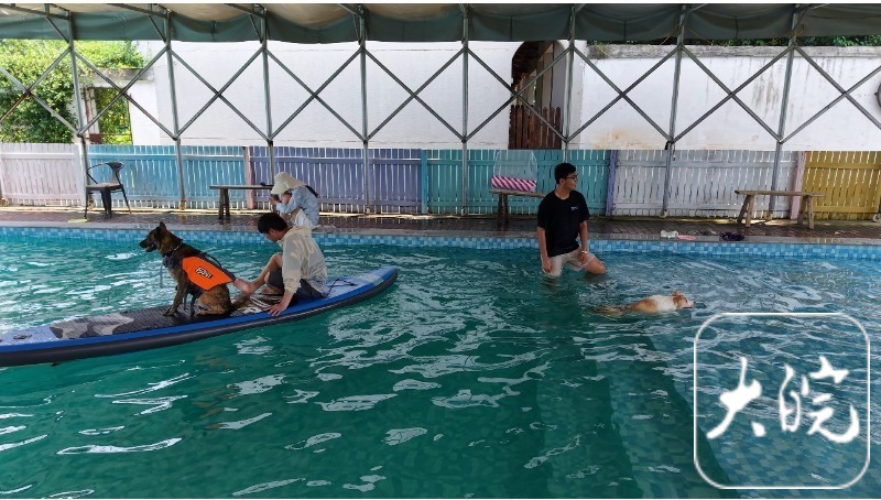 九游官网入口：专业宠物乐园成宠主社交新据点(图3)