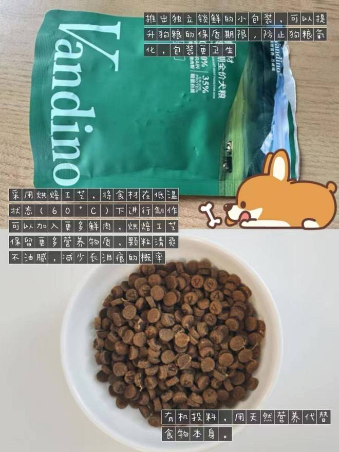 2025 美毛狗粮清单：让狗狗毛发柔顺亮泽(图2)