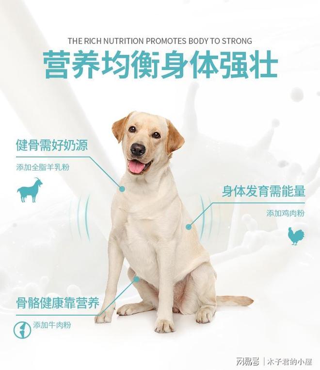 九游官网入口：拉布拉多吃什么狗粮好？怎么选合拉布拉多专属狗粮？(图4)