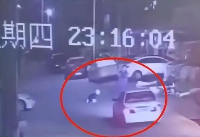 手术失败撞死边牧的宠物店社会性死亡了：众怒难消生意也凉凉了(图3)