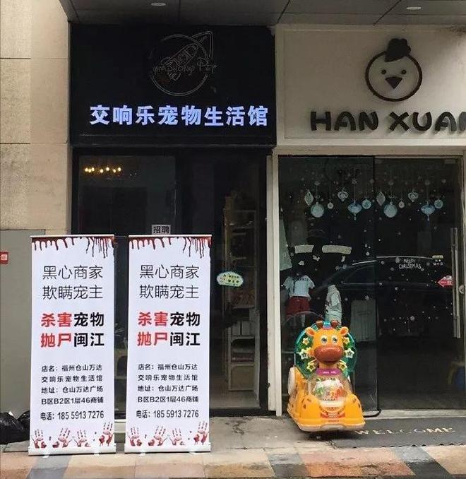 手术失败撞死边牧的宠物店社会性死亡了：众怒难消生意也凉凉了(图5)