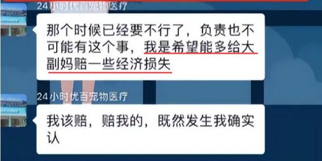 手术失败撞死边牧的宠物店社会性死亡了：众怒难消生意也凉凉了(图6)