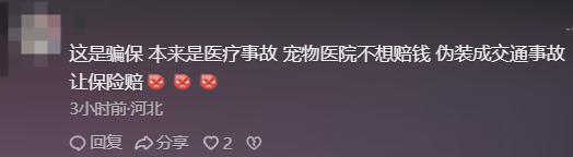 手术失败撞死边牧的宠物店社会性死亡了：众怒难消生意也凉凉了(图7)