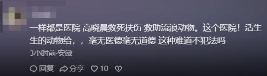 手术失败撞死边牧的宠物店社会性死亡了：众怒难消生意也凉凉了(图9)
