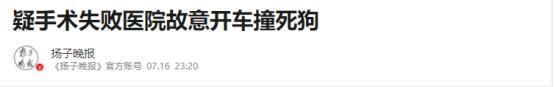 手术失败撞死边牧的宠物店社会性死亡了：众怒难消生意也凉凉了(图20)