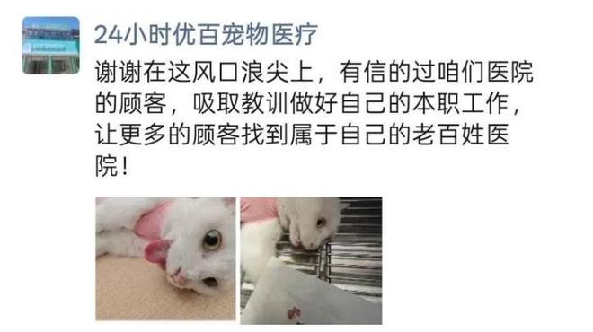 手术失败撞死边牧的宠物店社会性死亡了：众怒难消生意也凉凉了(图10)