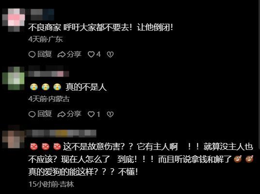 手术失败撞死边牧的宠物店社会性死亡了：众怒难消生意也凉凉了(图14)