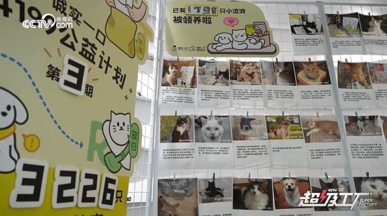 央视网探厂诚实一口：体验宠粮生产背后的“鲜”与“爱”(图8)