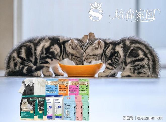 宠物益生菌：解锁毛孩子健康密码(图2)