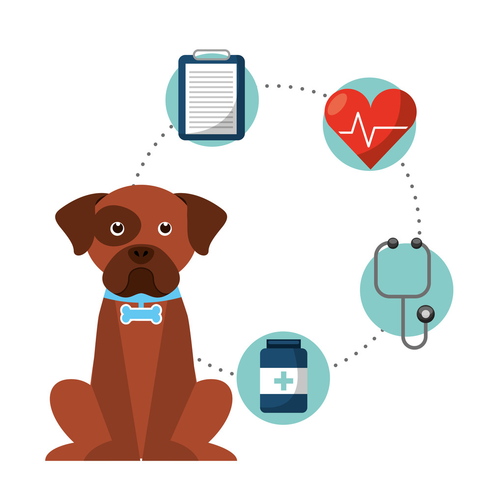 上半年广东处理消费投诉近54万件 宠物捆绑消费成热点(图1)