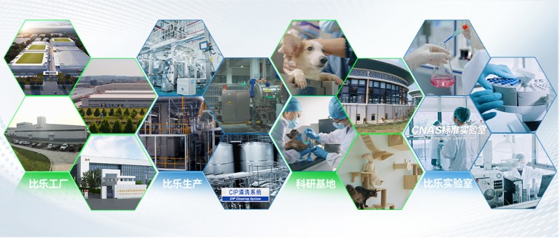 比乐：以“品质力”践行“长期主义”(图2)