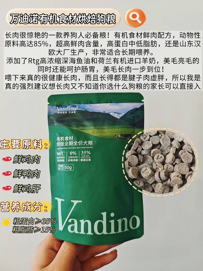 九游app：美毛狗粮怎么挑？2025 认准这几款狗狗毛发更出众(图2)