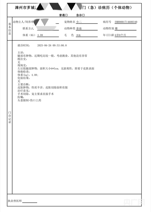 啄木鸟消费投诉｜宠物狗长肿瘤手术后保险“拒赔” 专家：亟待出台“标准条款”(图4)