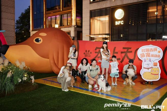 九游官网入口：宠友集30-上海外滩好朋狗友节！猫朋狗友见面大会！(图6)