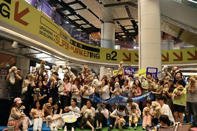 九游官网入口：宠友集30-上海外滩好朋狗友节！猫朋狗友见面大会！(图5)