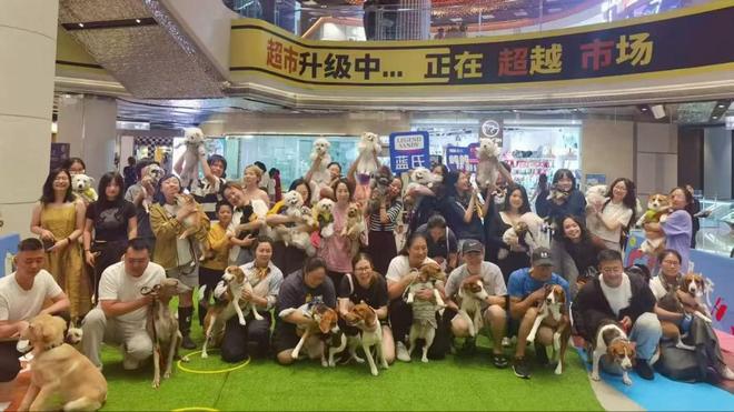 九游官网入口：宠友集30-上海外滩好朋狗友节！猫朋狗友见面大会！(图4)