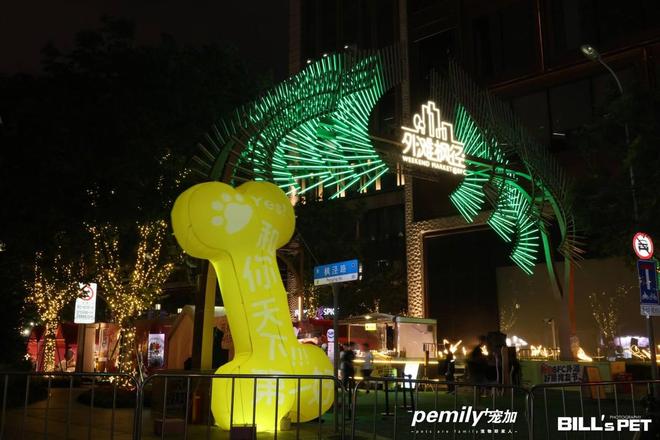 九游官网入口：宠友集30-上海外滩好朋狗友节！猫朋狗友见面大会！(图7)