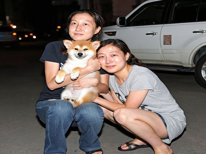 幼崽老虎被狗妈妈养大老虎成年后对狗妈妈的态度让所有人愣住(图4)