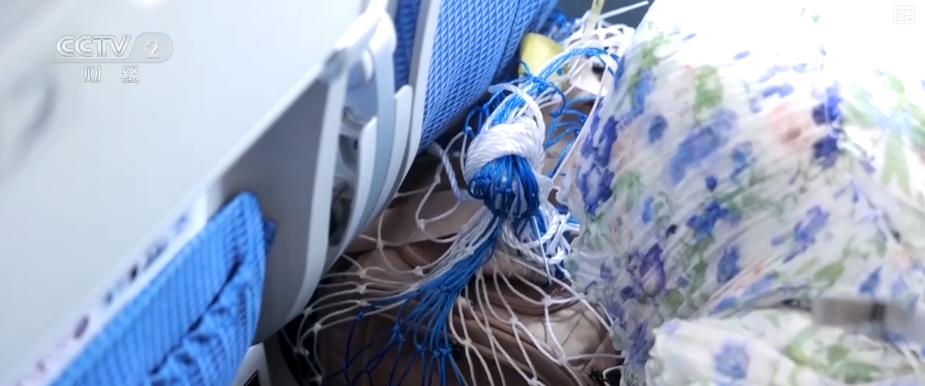 九游app：突破8114亿元！科技重塑“它经济” “毛孩子”情感消费撬动经济新支点(图4)