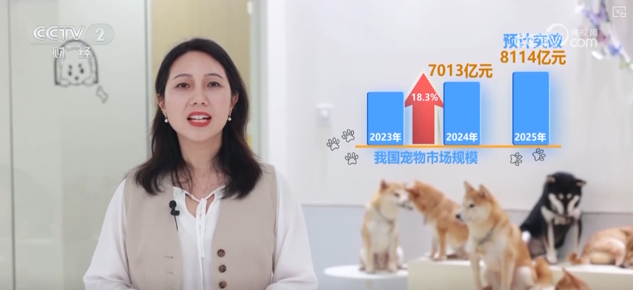 九游app：突破8114亿元！科技重塑“它经济” “毛孩子”情感消费撬动经济新支点(图18)