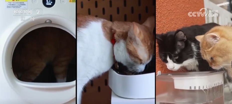 九游app：突破8114亿元！科技重塑“它经济” “毛孩子”情感消费撬动经济新支点(图17)