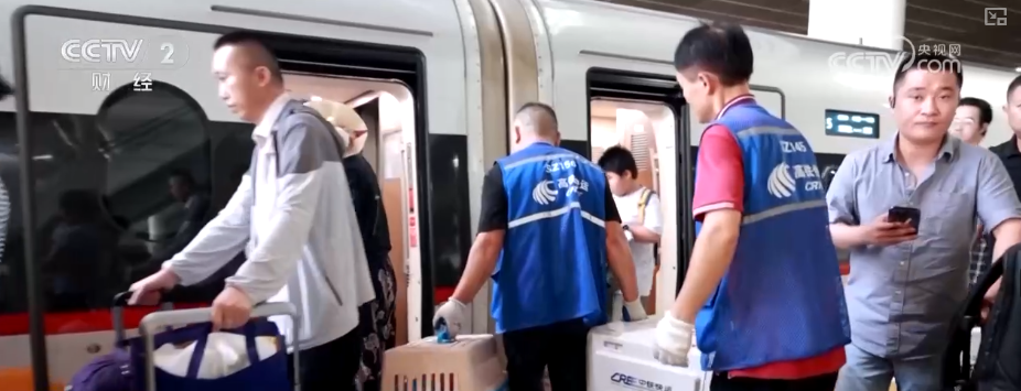 九游app：突破8114亿元！科技重塑“它经济” “毛孩子”情感消费撬动经济新支点(图5)