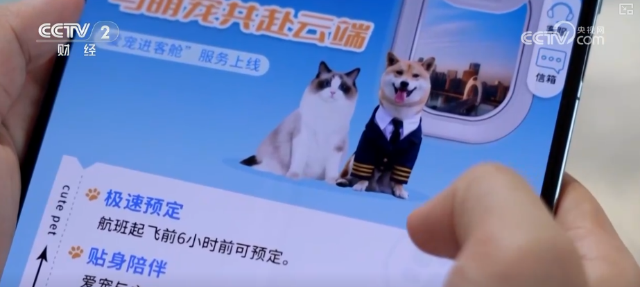 九游app：突破8114亿元！科技重塑“它经济” “毛孩子”情感消费撬动经济新支点(图3)