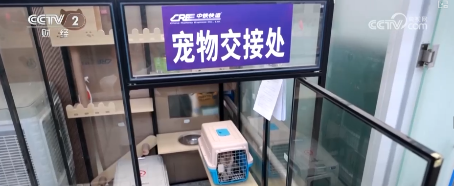 九游app：突破8114亿元！科技重塑“它经济” “毛孩子”情感消费撬动经济新支点(图6)