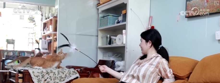 九游app：突破8114亿元！科技重塑“它经济” “毛孩子”情感消费撬动经济新支点(图11)