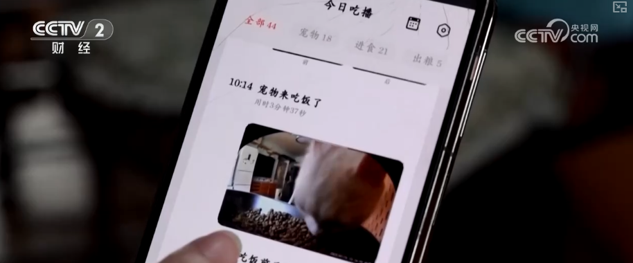 九游app：突破8114亿元！科技重塑“它经济” “毛孩子”情感消费撬动经济新支点(图14)