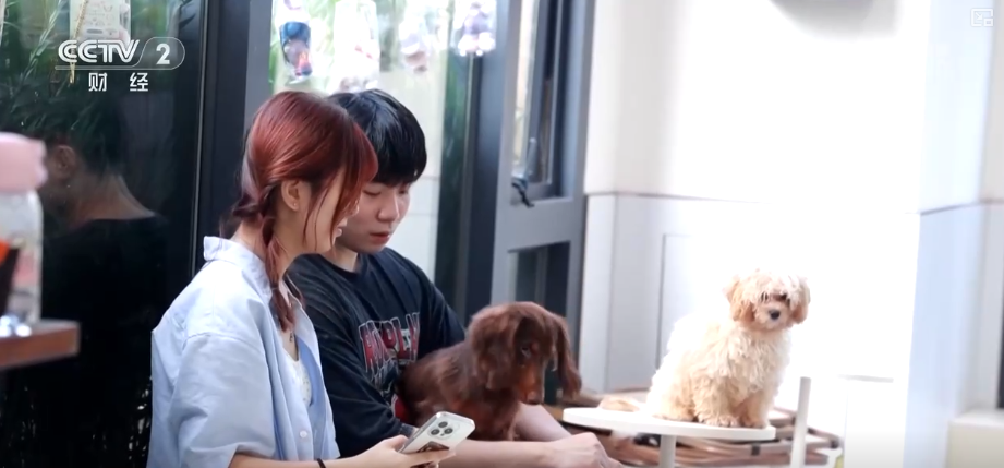 九游app：突破8114亿元！科技重塑“它经济” “毛孩子”情感消费撬动经济新支点(图13)