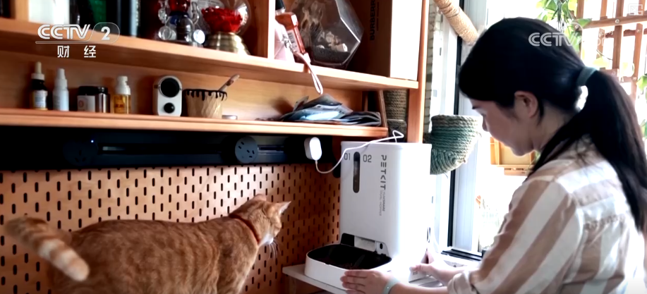 九游app：突破8114亿元！科技重塑“它经济” “毛孩子”情感消费撬动经济新支点(图20)