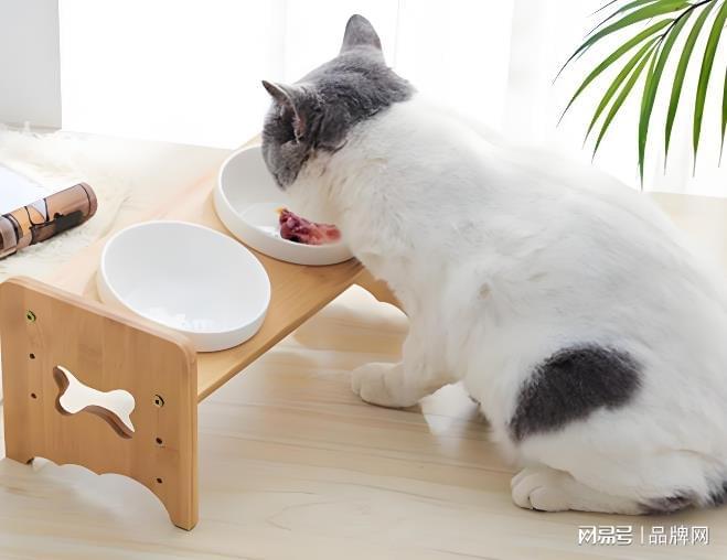 十大宠物用品牌子 各类用品日益丰富多样起来(图3)