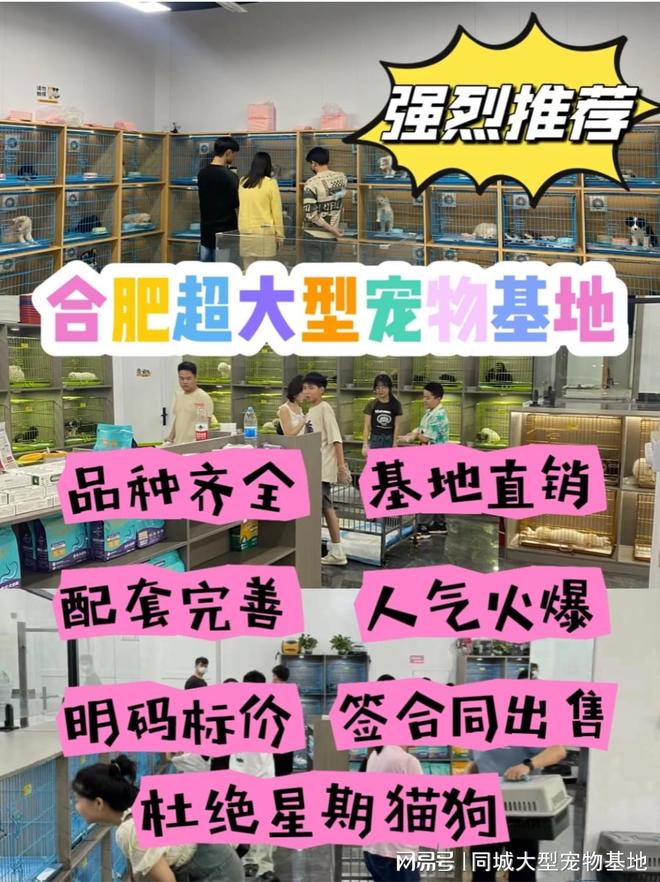 合肥最大的宠物市场在哪里？安全可靠可实体店挑选心仪的宠物！(图1)
