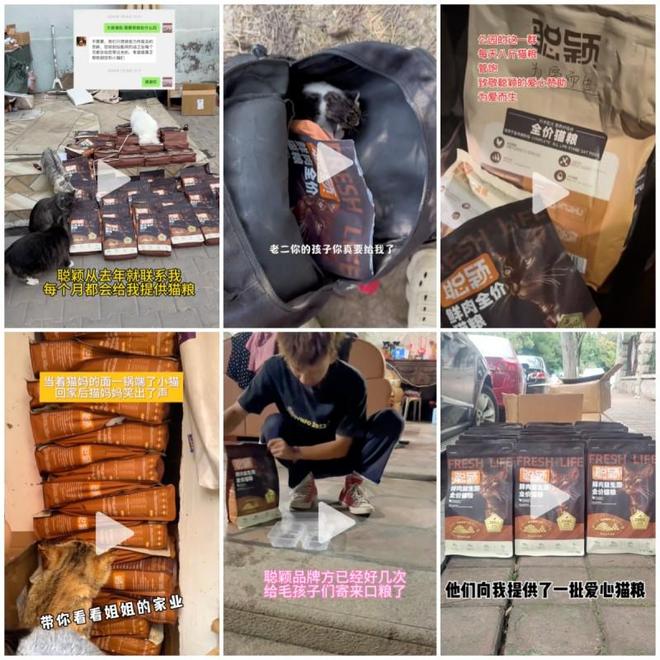 九游体育：聪颖猫粮：匠心工艺以食为养守护萌宠健康成长(图6)