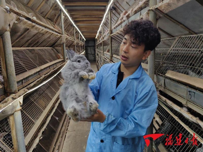 深读｜小萌宠撬动大市场(图2)