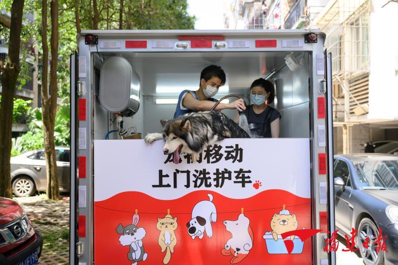 深读｜小萌宠撬动大市场(图5)