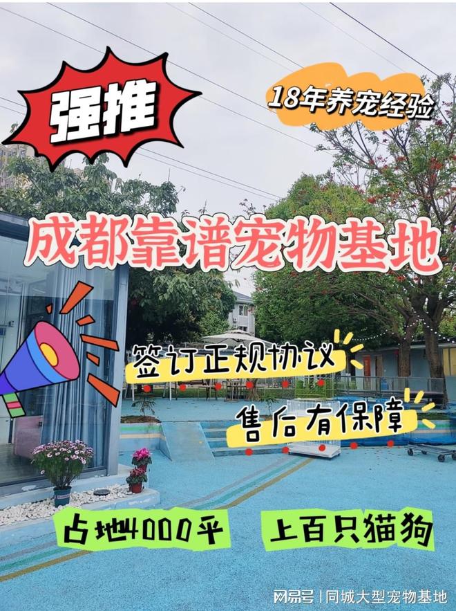成都哪里有便宜的猫狗市场？这里专业安全可亲自挑选宠物(图1)