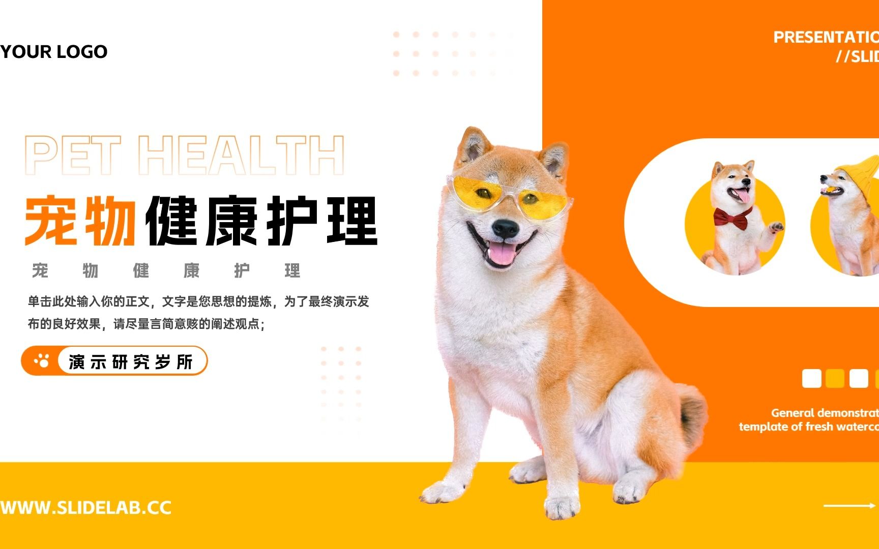 九游官网入口：养宠物让人健康快乐但也要防“心理依赖”(图1)